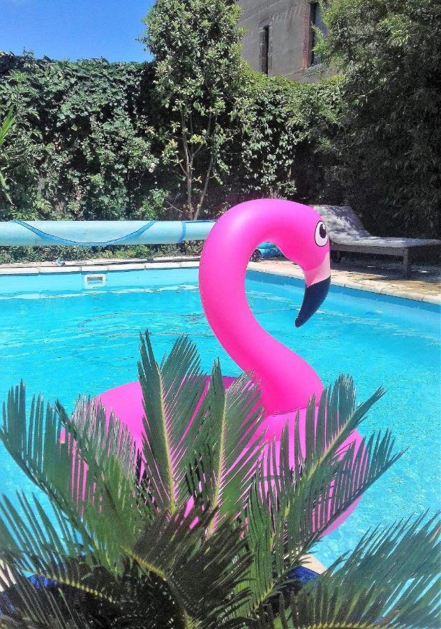 La Villa Carcassonne, Cite 8 Min A Pieds, Clim, Piscine, Full Wifi, Borne 7,5Kw, Velo Elect, Parking Prive Exterior foto